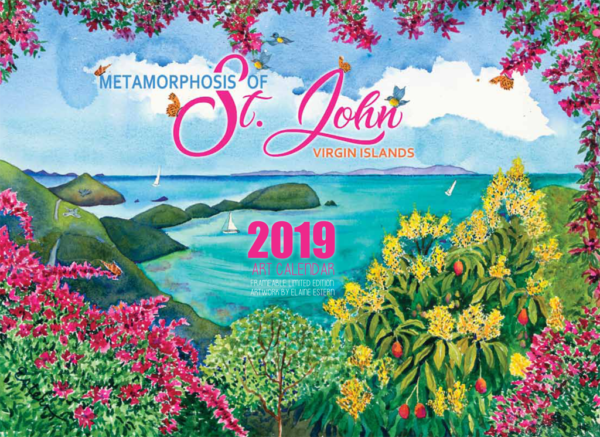 2019 St. John Calendar