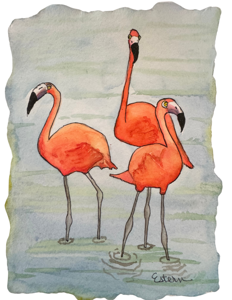 Watercolor painting of three pink flamingos standing in water.