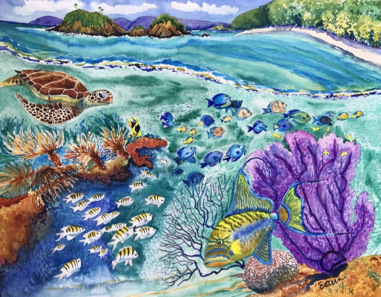 Trunk Cay Original Watercolor by Elaine Estern
