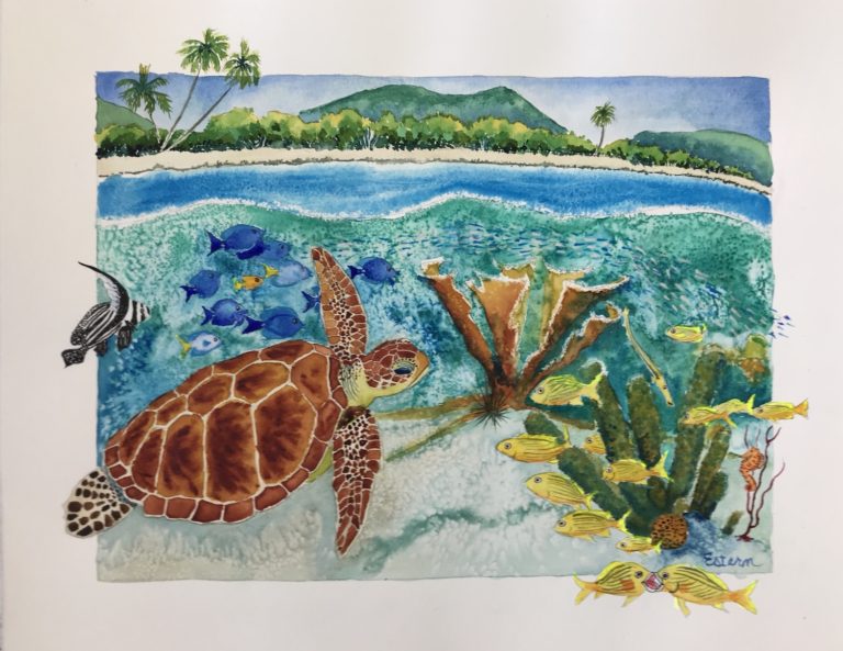 Turtle at Frances Original Watercolor by Elaine Estern