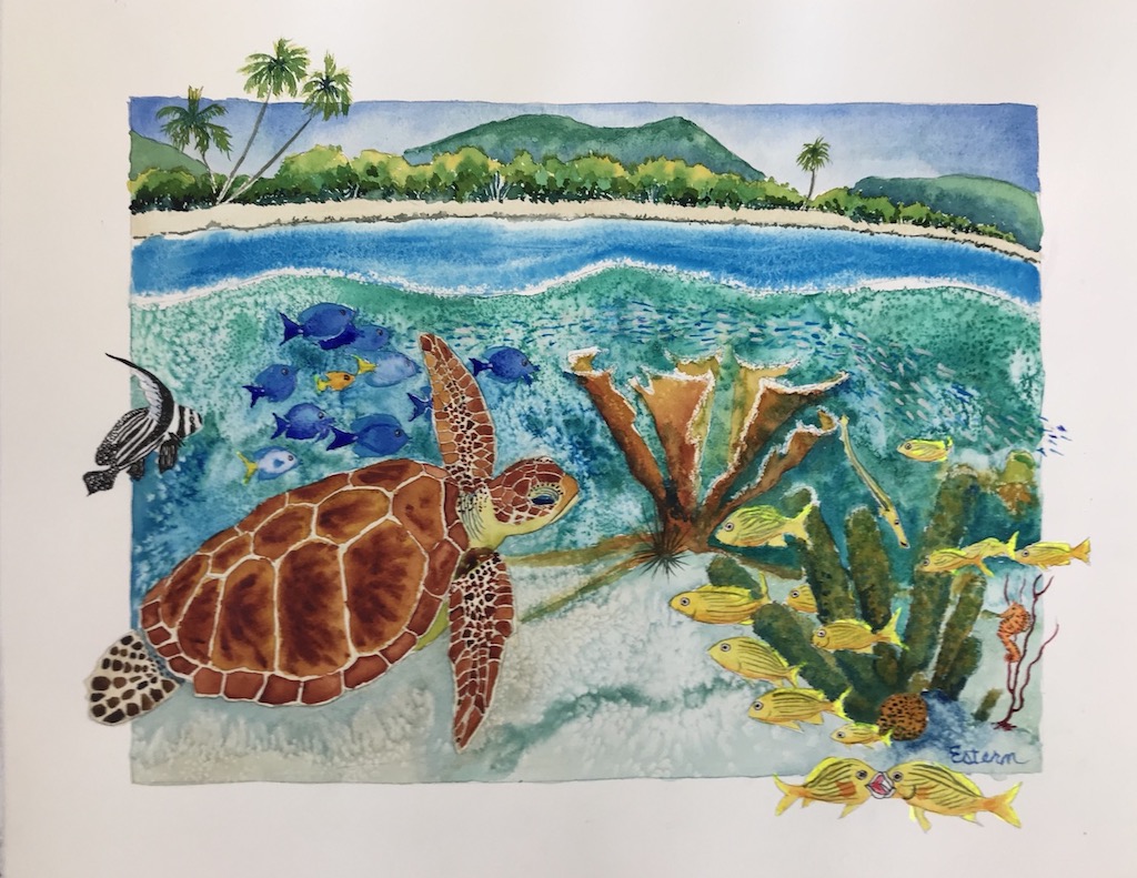Turtle at Frances Bay, original artwork by Elaine Estern St. John USVI