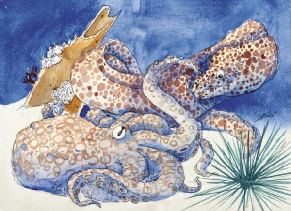 A watercolor painting of an octopus and an eel with a sea urchin.