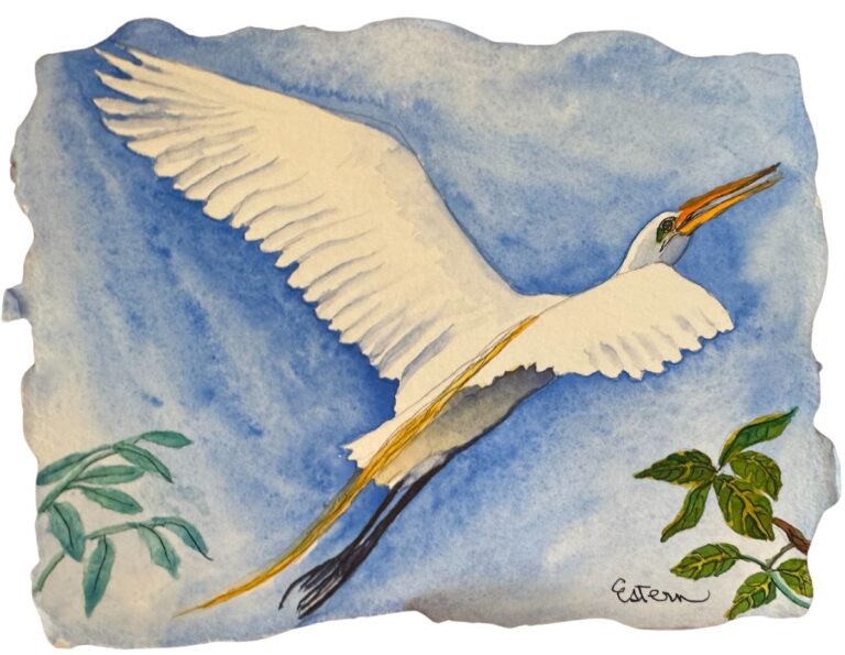 A watercolor painting of a white egret in flight by Elaine Estern.