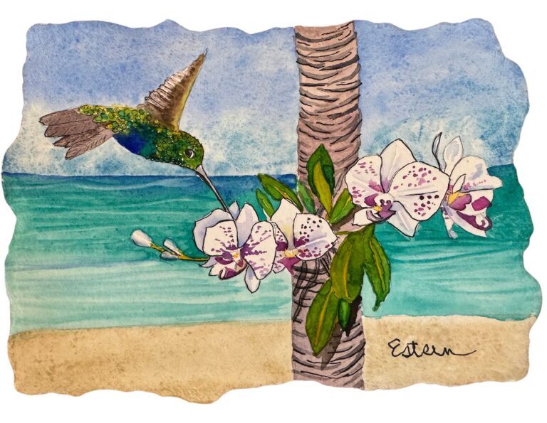 A watercolor painting of a hummingbird on a palm tree by Elaine Estern.