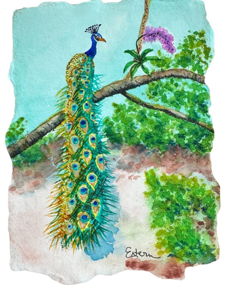 A watercolor painting of a peacock perched on a branch by Elaine Estern.