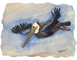 A watercolor painting of a pelican flying in the sky by Elaine Estern.