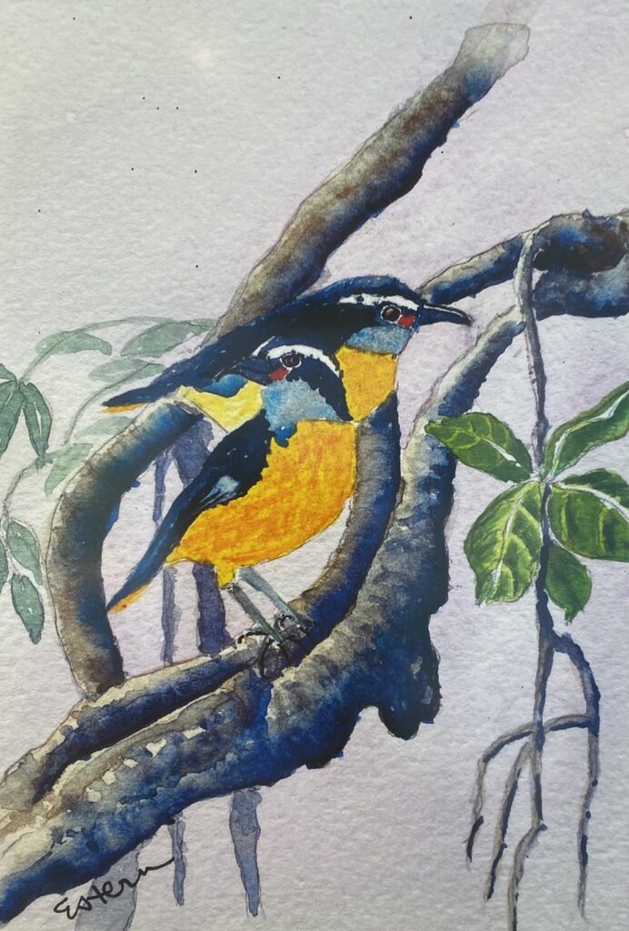 A watercolor painting of two yellow and black sugar birds perched on a branch.