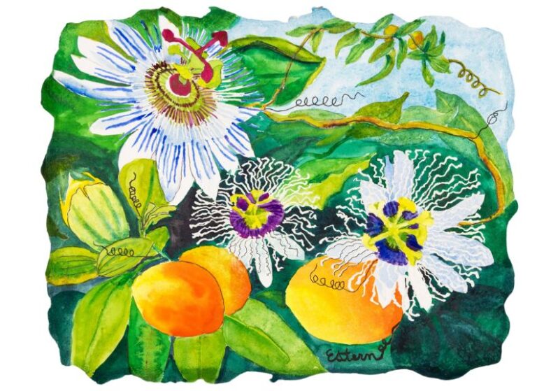 A colorful watercolor illustration of passion flowers, leaves, and three orange-yellow fruits against a green and blue background. Swirling tendrils are depicted among the flowers and foliage.