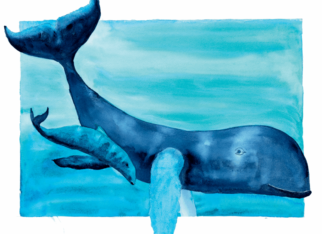Watercolor painting of a blue whale swimming underwater with a calf nearby, set against a blue ocean background.