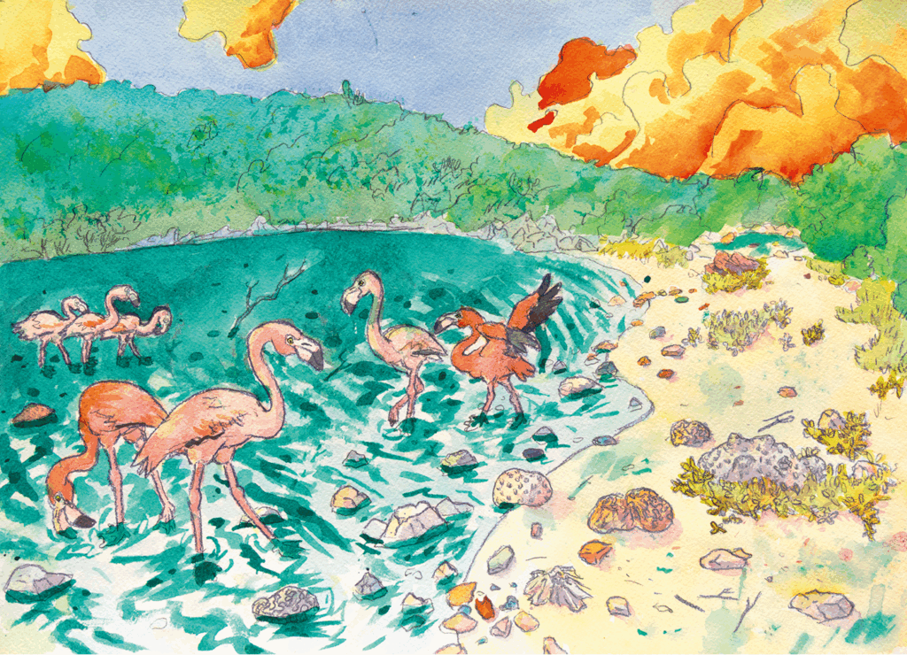 Watercolor illustration of flamingos wading in a shallow lake with green trees in the background, a sandy shore, rocks, and a sky with orange clouds.