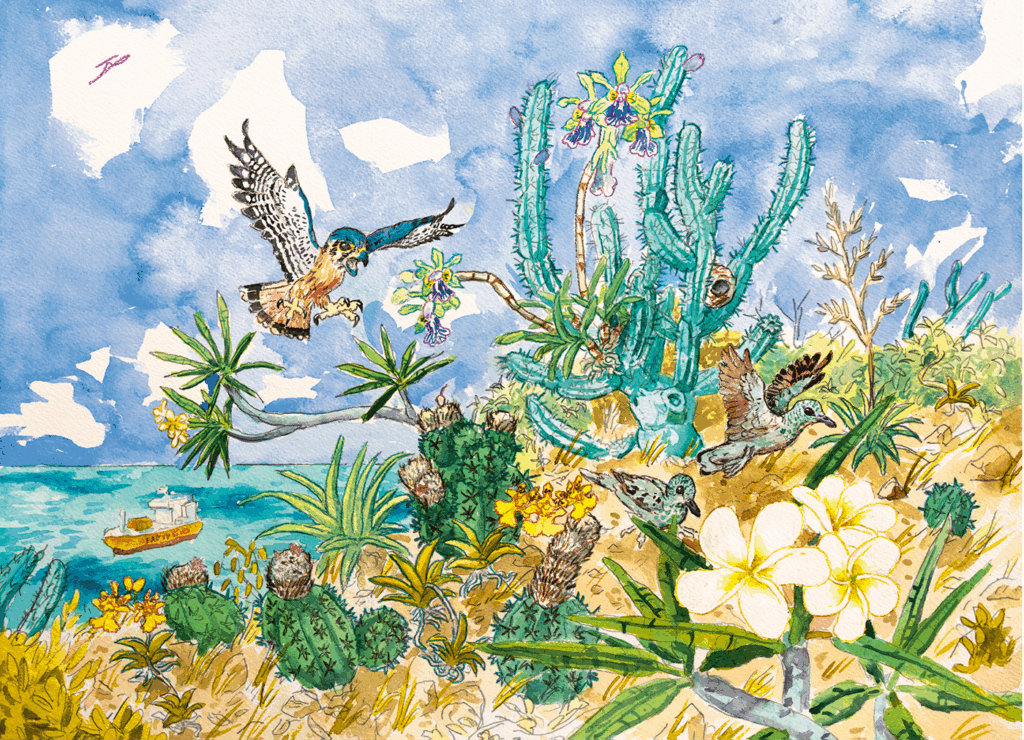 A coastal scene with a hawk flying near cacti and various birds. A ship sails in the ocean under a blue sky with clouds. Yellow and white flowers grow among green plants.