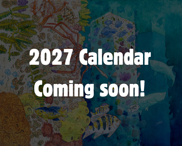 Illustrated calendar cover with palm trees, ocean, and sun. Text reads "St. John Art Calendar 2027: Little Secrets of St. John; Featuring paintings by Elaine Estern & TJ Schutt of Coconut Coast Studios. Made in the USA.