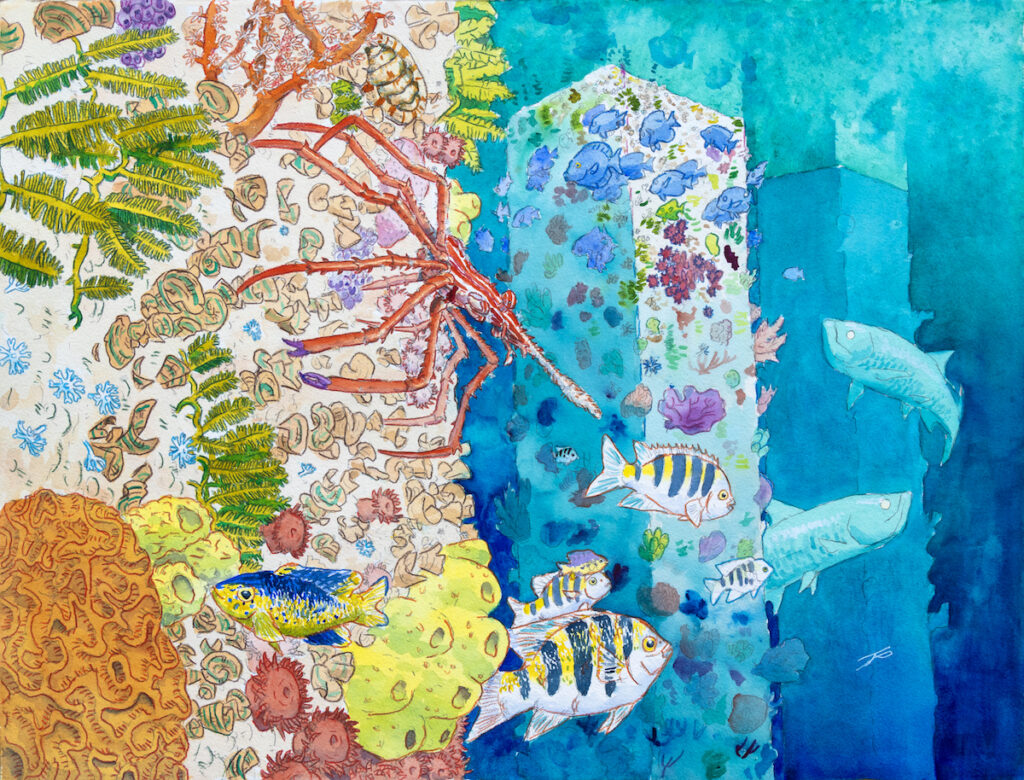 Colorful coral reef with various fish and a large lobster on the left side, transitioning to deeper blue water with fewer fish and fading coral on the right.