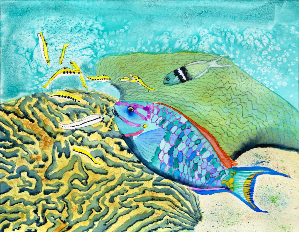 Colorful parrotfish swims near coral with several small yellow and black fish and another grey fish in a clear, blue underwater scene.