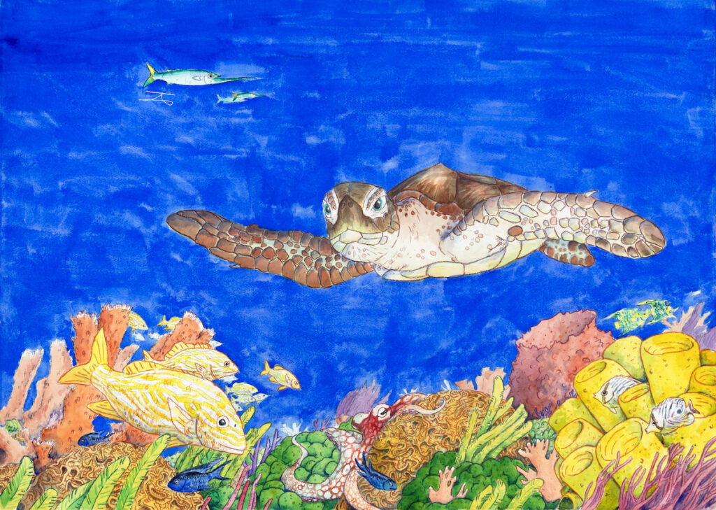 A sea turtle swims above a colorful coral reef with various fish and marine plants, set against a deep blue ocean background.