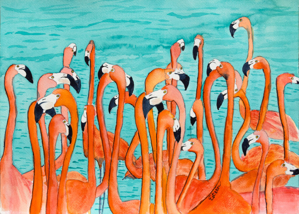 A flock of pink flamingos stands closely together in shallow blue-green water, with their long necks and legs visible.