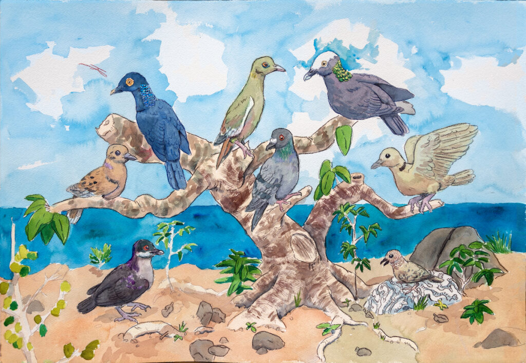 Seven pigeons and doves perch on and around a small tree by a shoreline, with blue sky and ocean in the background. Some birds are on branches, others on the ground.